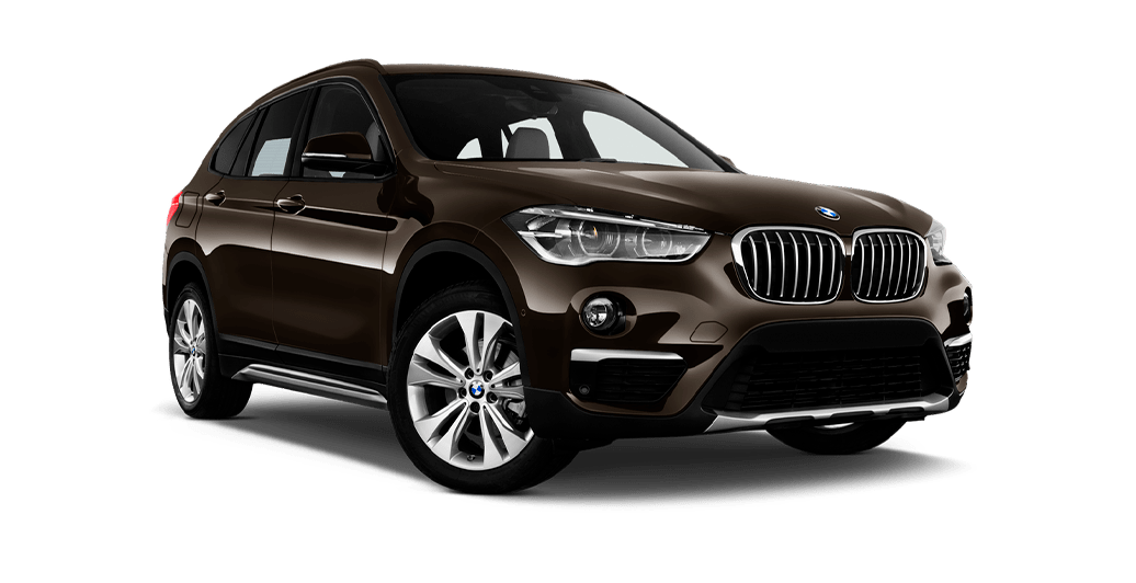 Vehículo BMW X1 SUV
